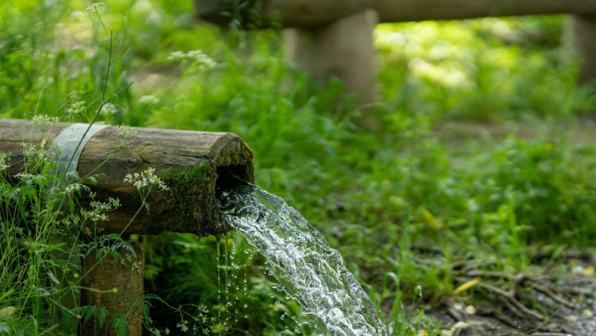 Que es la conciencia