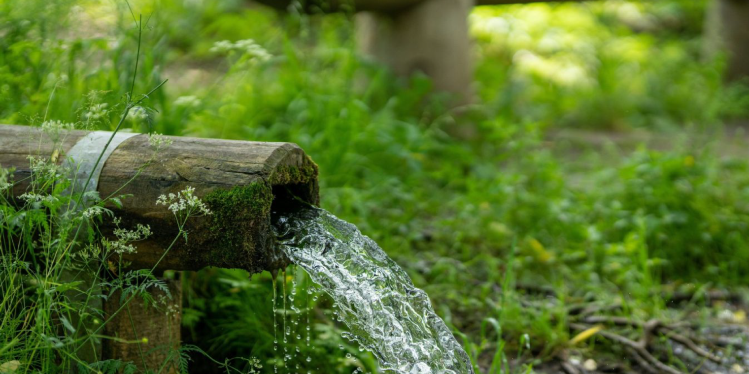 Que es la conciencia