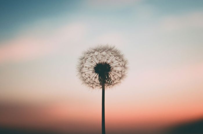 Blog-AvelinoMG-1520x760-Mayo