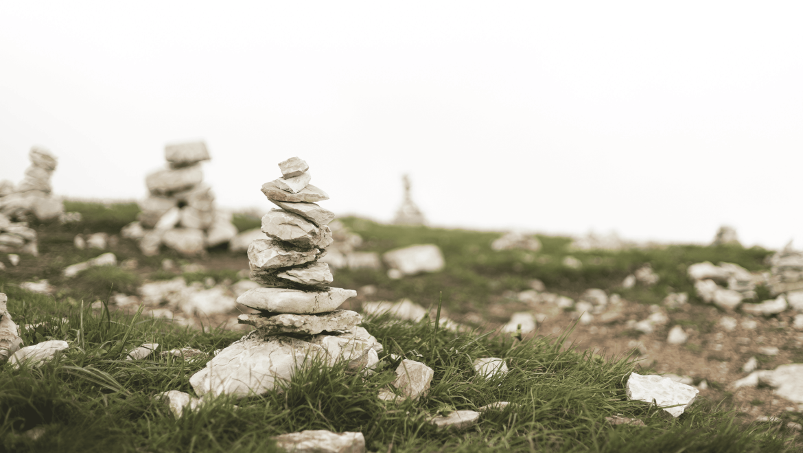 Control de las emociones